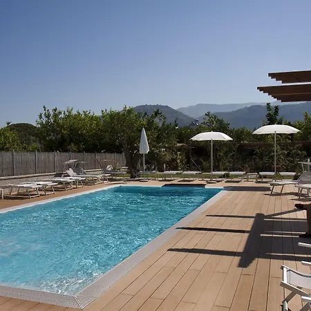 伊尔罗塞托酒店 住宿加早餐酒店 索伦托